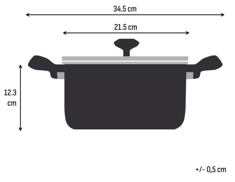 TEFAL SPACE EMOTION+ KOOKPAN 20 CM MET DEKSEL