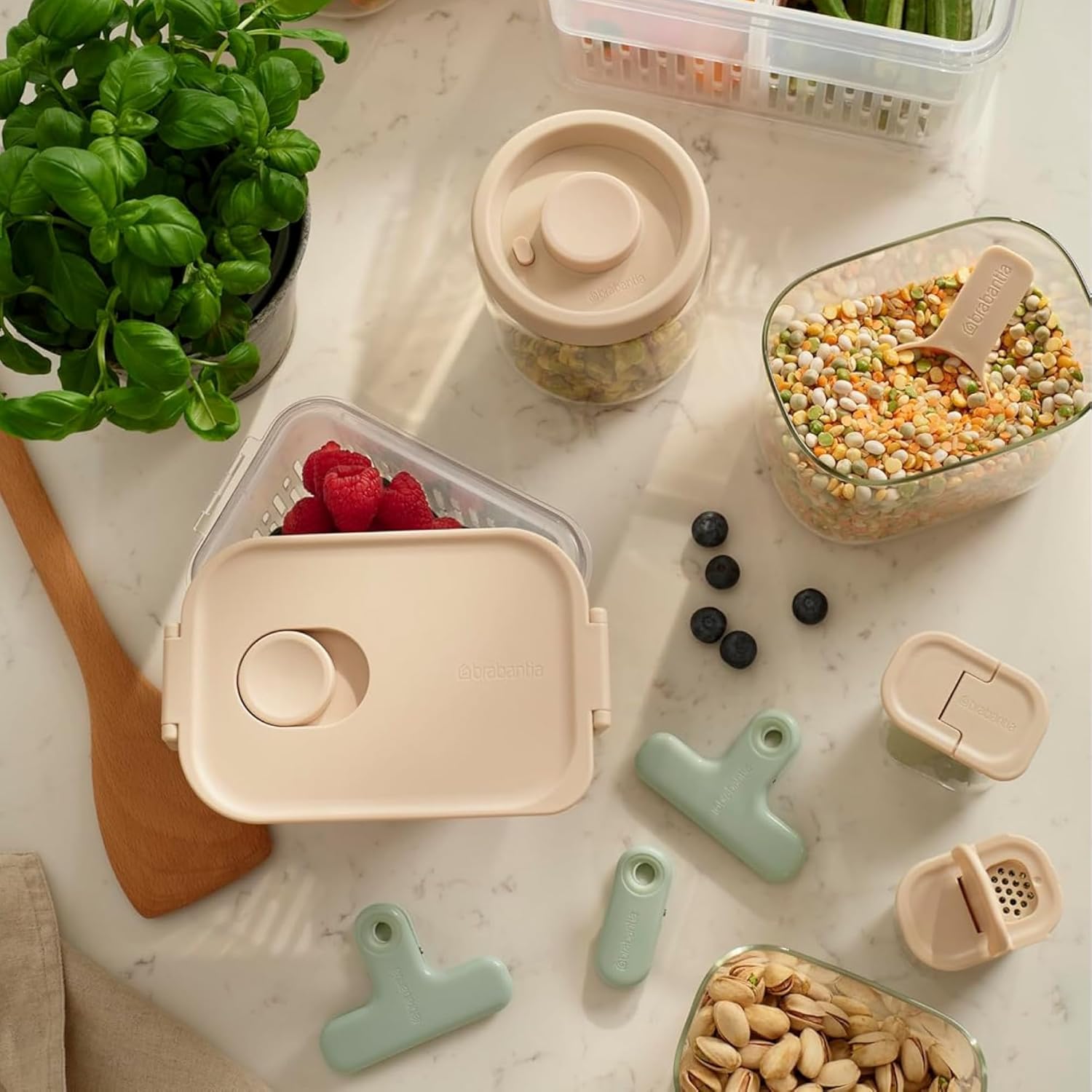 BRABANTIA MAGNETISCHE SLUITCLIPS 5054903970323