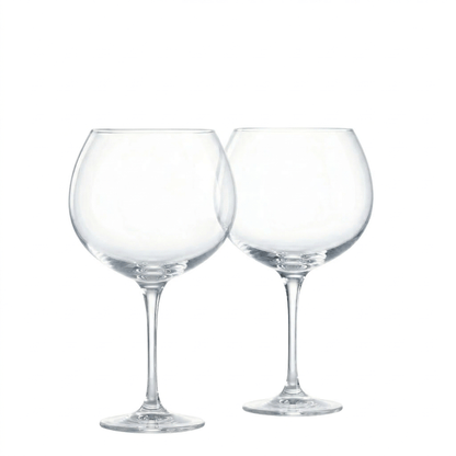 KEMPEN & BEGEER GIN-TONICGLAZEN