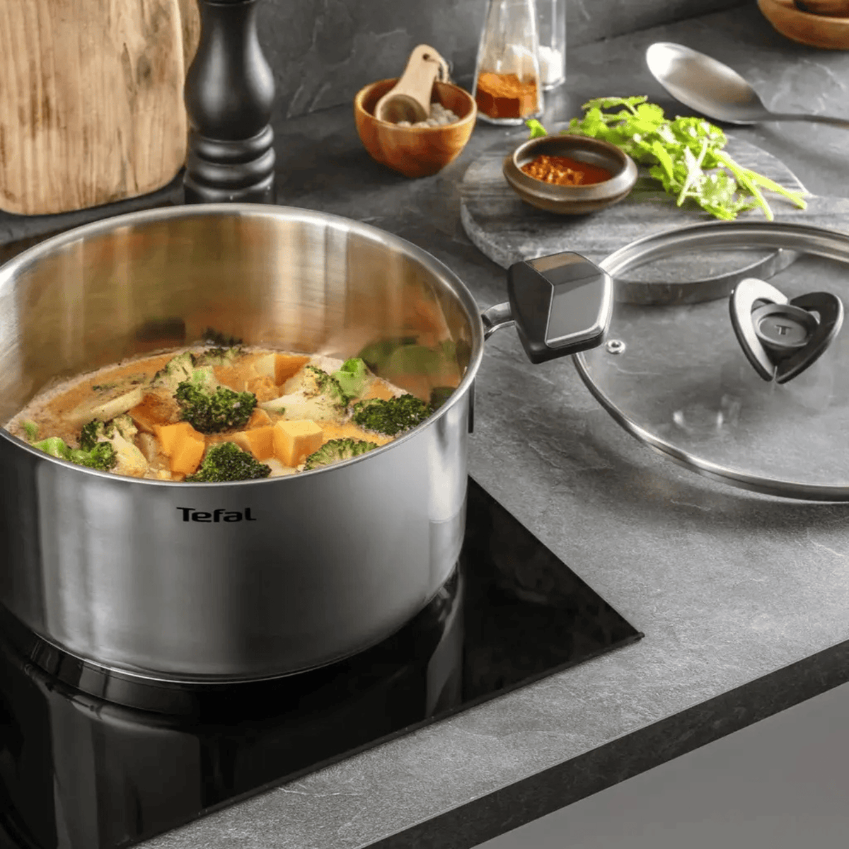 Tefal Emotion+ Kookpan 24 cm (5,7 L) kopen? | Cookvero 3168430377370